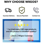 Promotion Email_Flash Sale_Wiigos